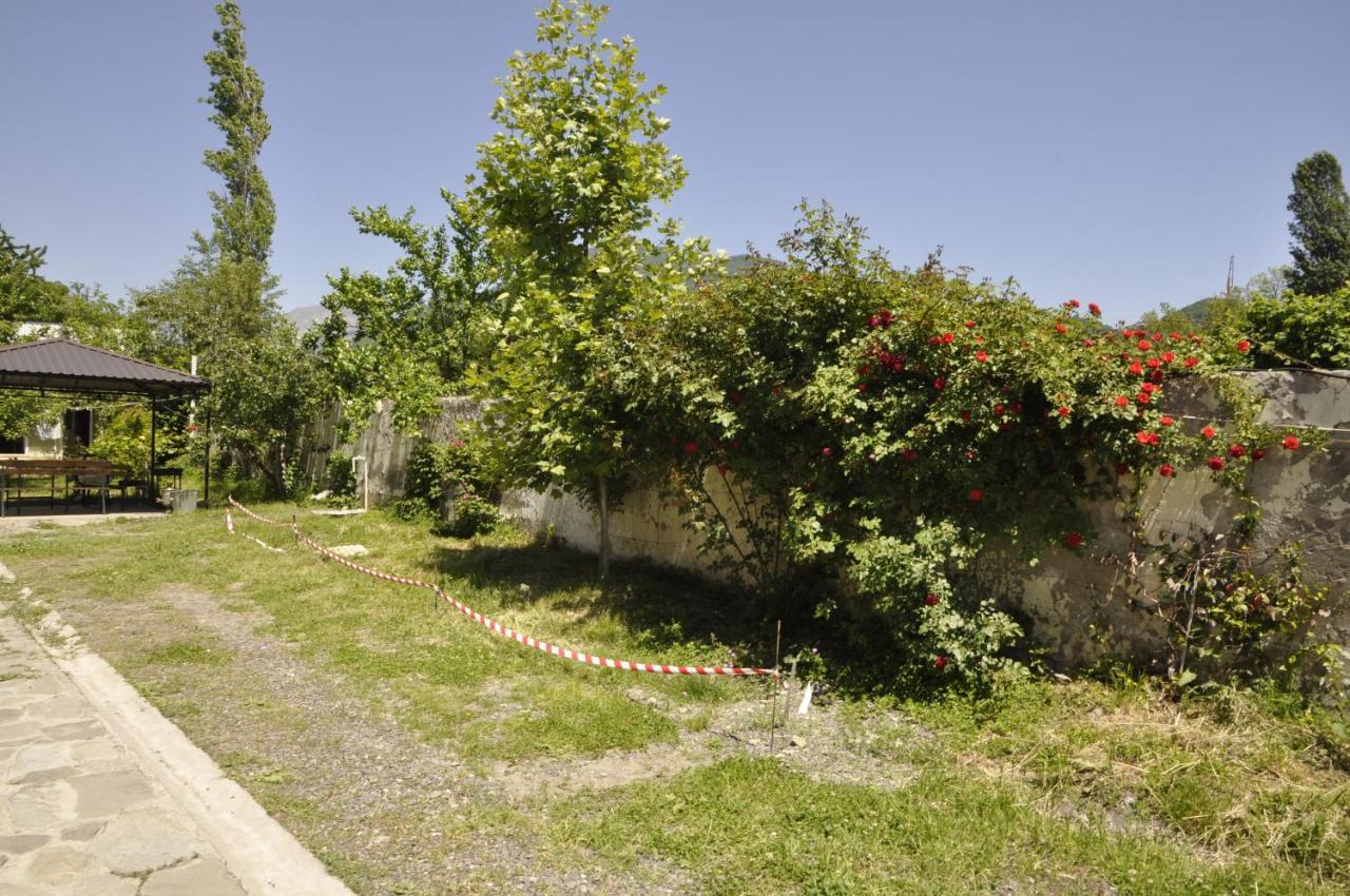 Apartments Firuze Gabala Exterior photo